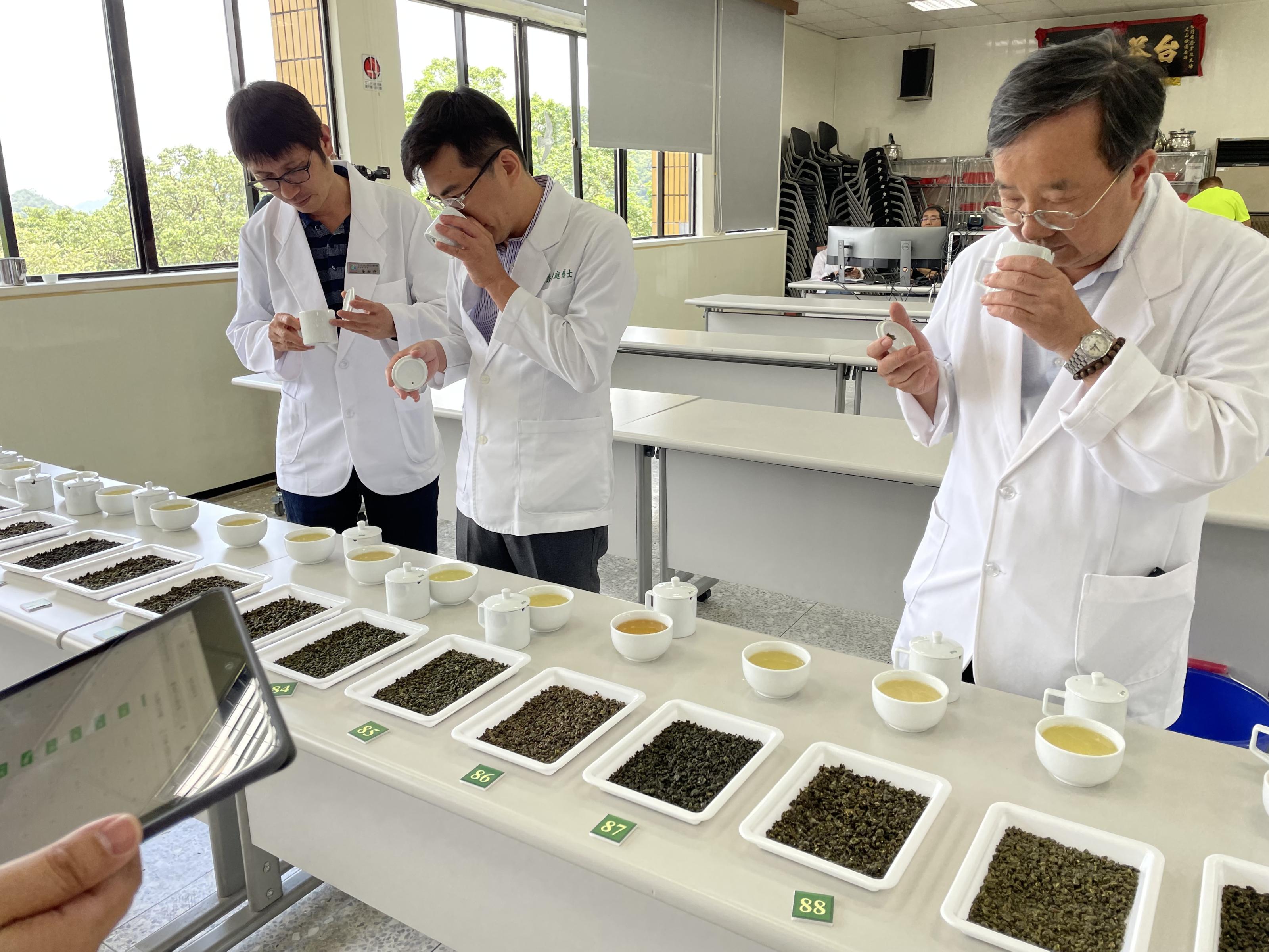 第四屆全國有機茶分類分級 TAGs評鑑活動 清香型部分發酵茶-產官學評審現場品評球形烏龍茶