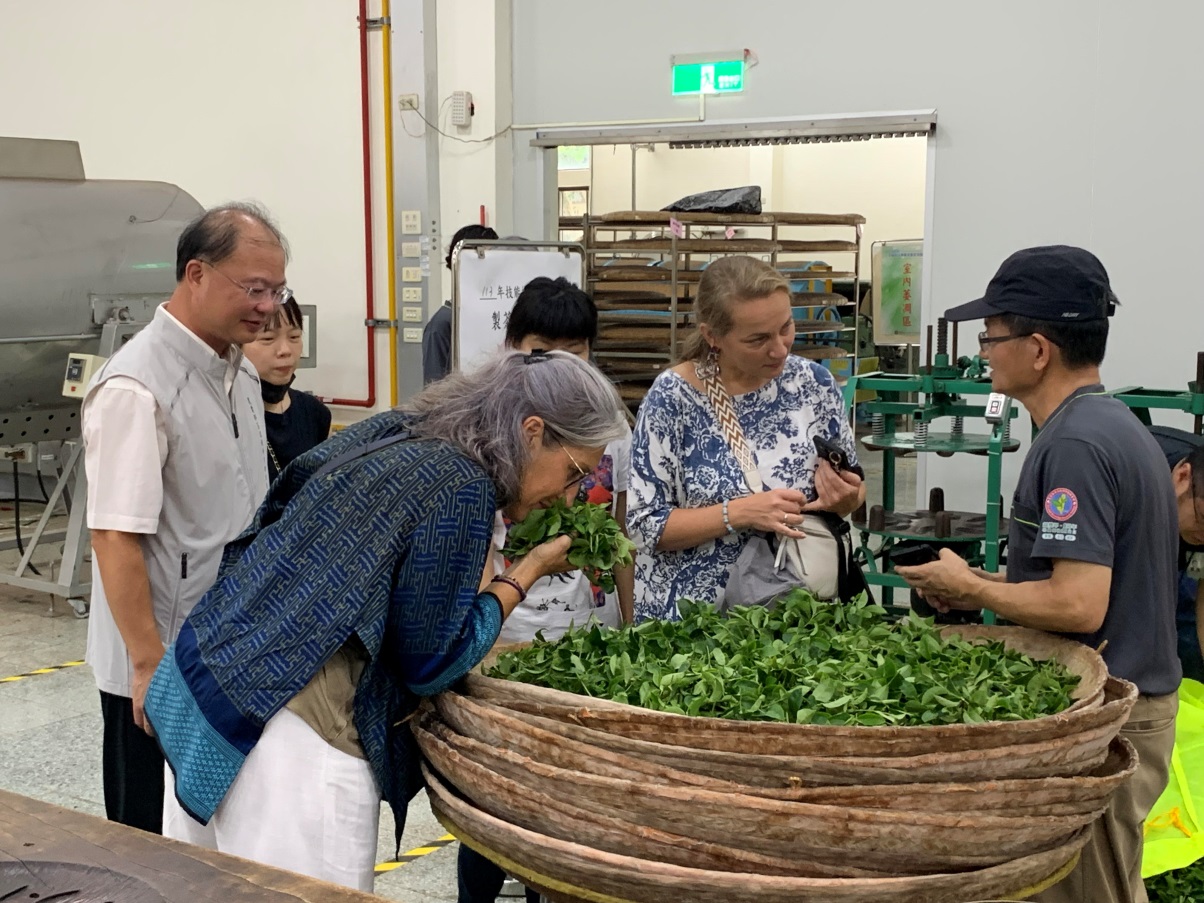 圖4、法國農產品加值協會茶葉評審從頭到尾了解臺灣茶製茶流程情形