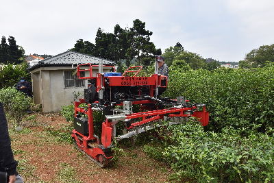 乘坐式採茶機展示-將另開新視窗