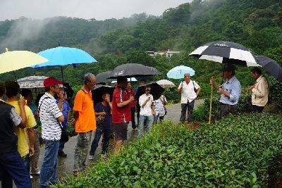 新型除草劑現場觀摩-將另開新視窗