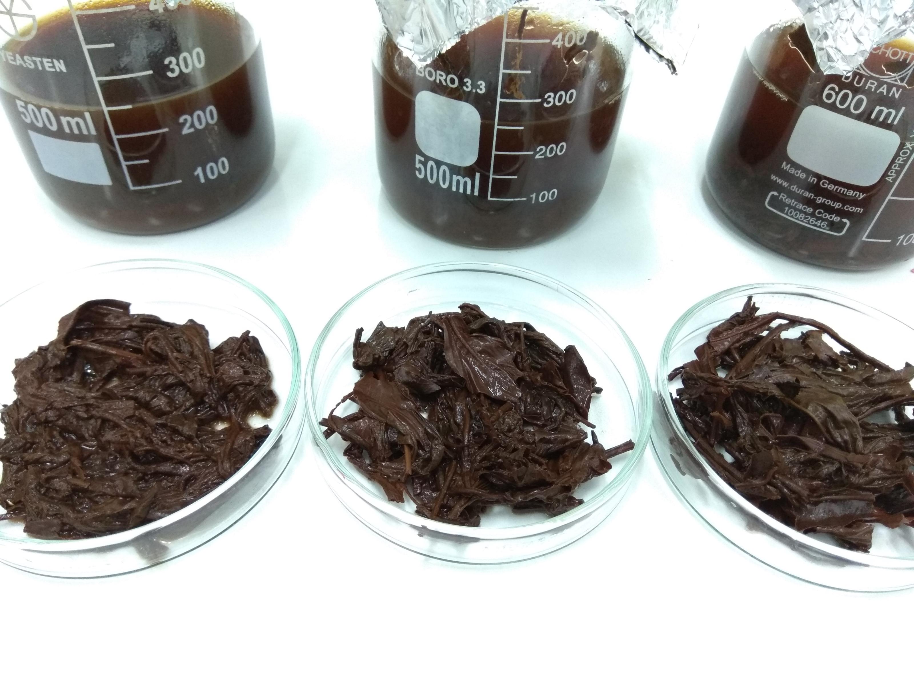 圖一、紅茶茶渣進行纖維酵素分解(上：紅茶萃取液、下：紅茶茶渣)