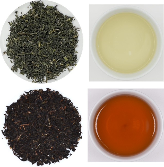 圖四、臺茶26號製造商用速萃綠茶（上）及紅茶（下）茶葉外觀（左）、茶湯水色(圖右)