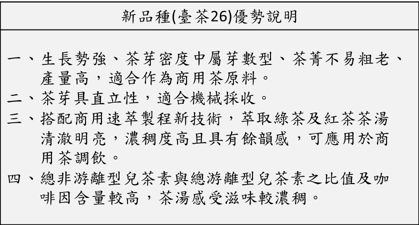 表一、臺茶26號茶樹新品種優勢
