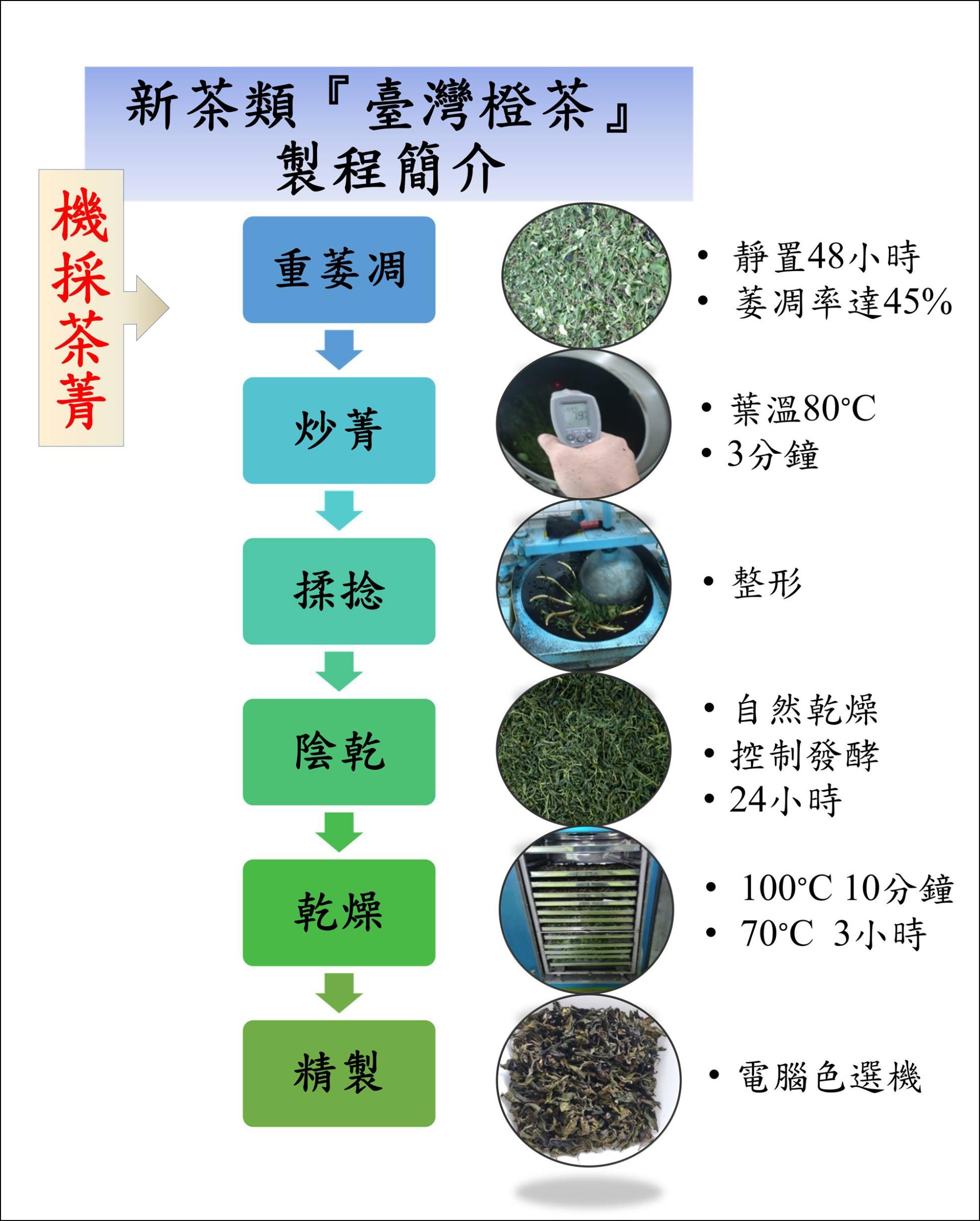 圖一、臺灣橙茶製程簡介