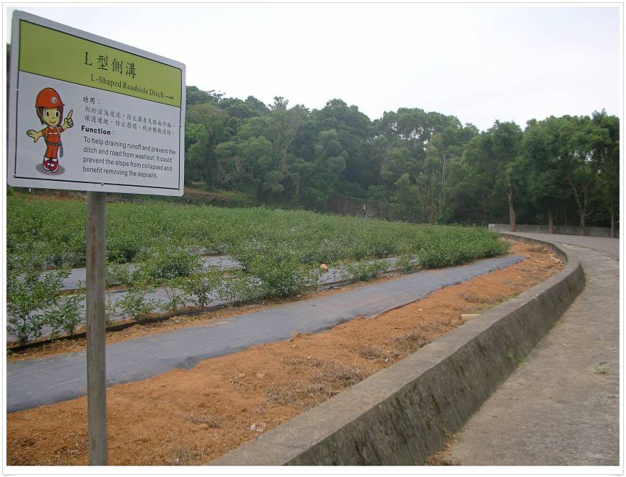 圖一、排水溝清理L型側溝 圖一、排水溝清理L型側溝