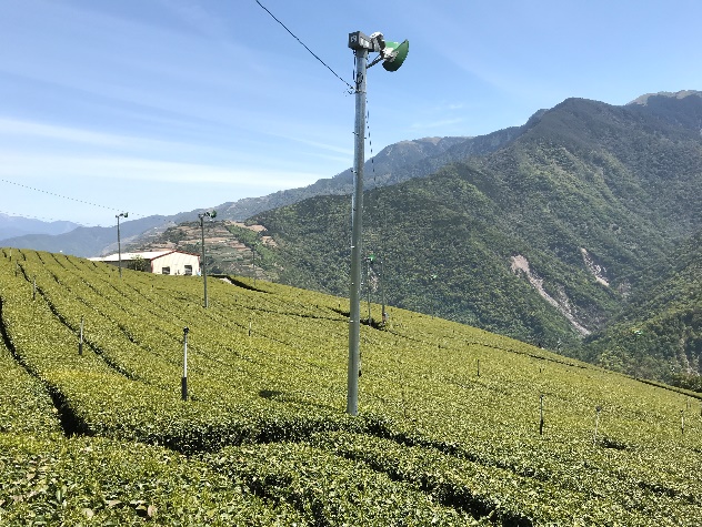 圖三、啟動防霜風扇吹送上層熱空氣至樹冠層，減少霜凍危害