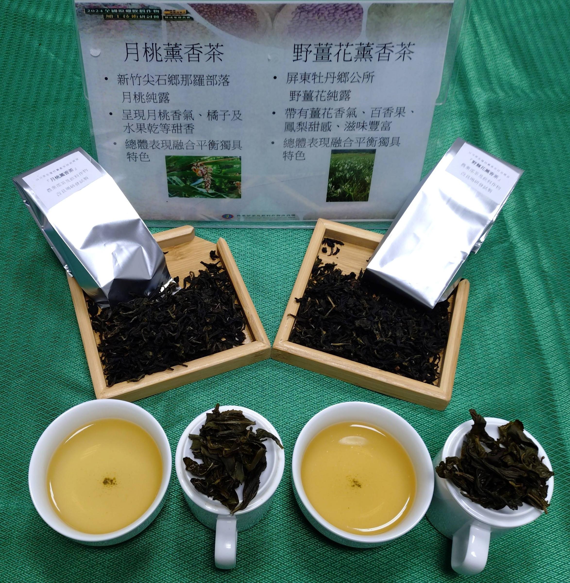 圖二月桃薰香包種茶(左)及野薑花薰香包種茶(右)研製產品茶乾及茶湯