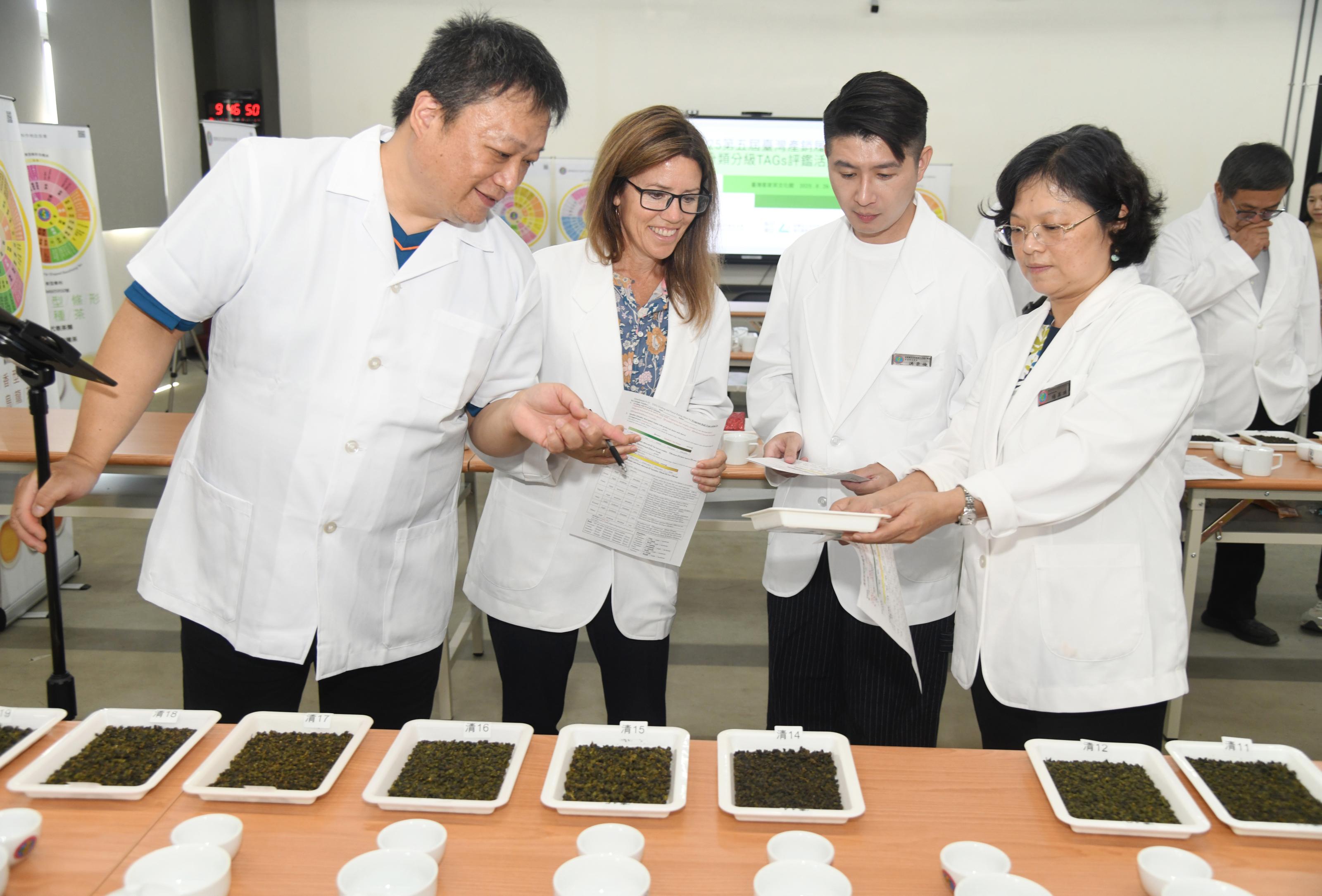 圖三:清香型球形烏龍茶評審討論茶葉外觀的評語。 圖三:清香型球形烏龍茶評審討論茶葉外觀的評語。