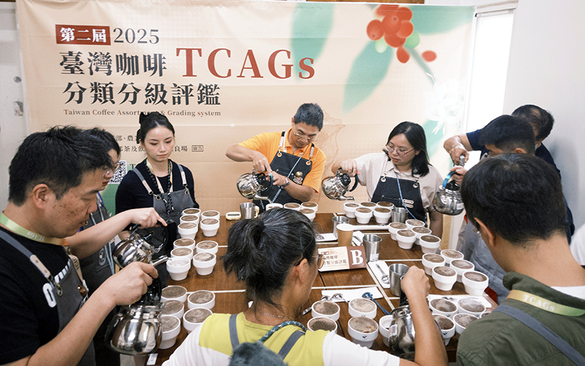 圖二、2025第二屆臺灣咖啡分類分級(TCAGs)評鑑賽評審杯測現況。