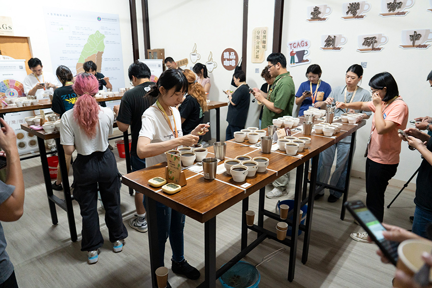 圖五之二、2025第二屆臺灣咖啡分類分級(TCAGs)評鑑賽國內評審遴選杯測現況二