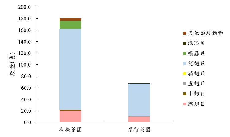 圖三、114年春季有機和慣行茶園有色黏紙陷阱捕獲節肢動物個體數量 圖三、114年春季有機和慣行茶園有色黏紙陷阱捕獲節肢動物個體數量