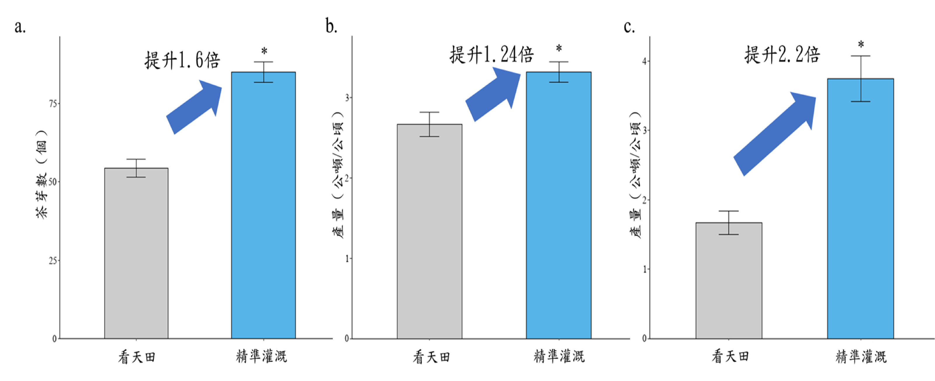 圖2. 2025年精準灌溉與傳統灌溉處理之茶菁芽數及產量對比分析。 圖2. 2025年精準灌溉與傳統灌溉處理之茶菁芽數及產量對比分析。
