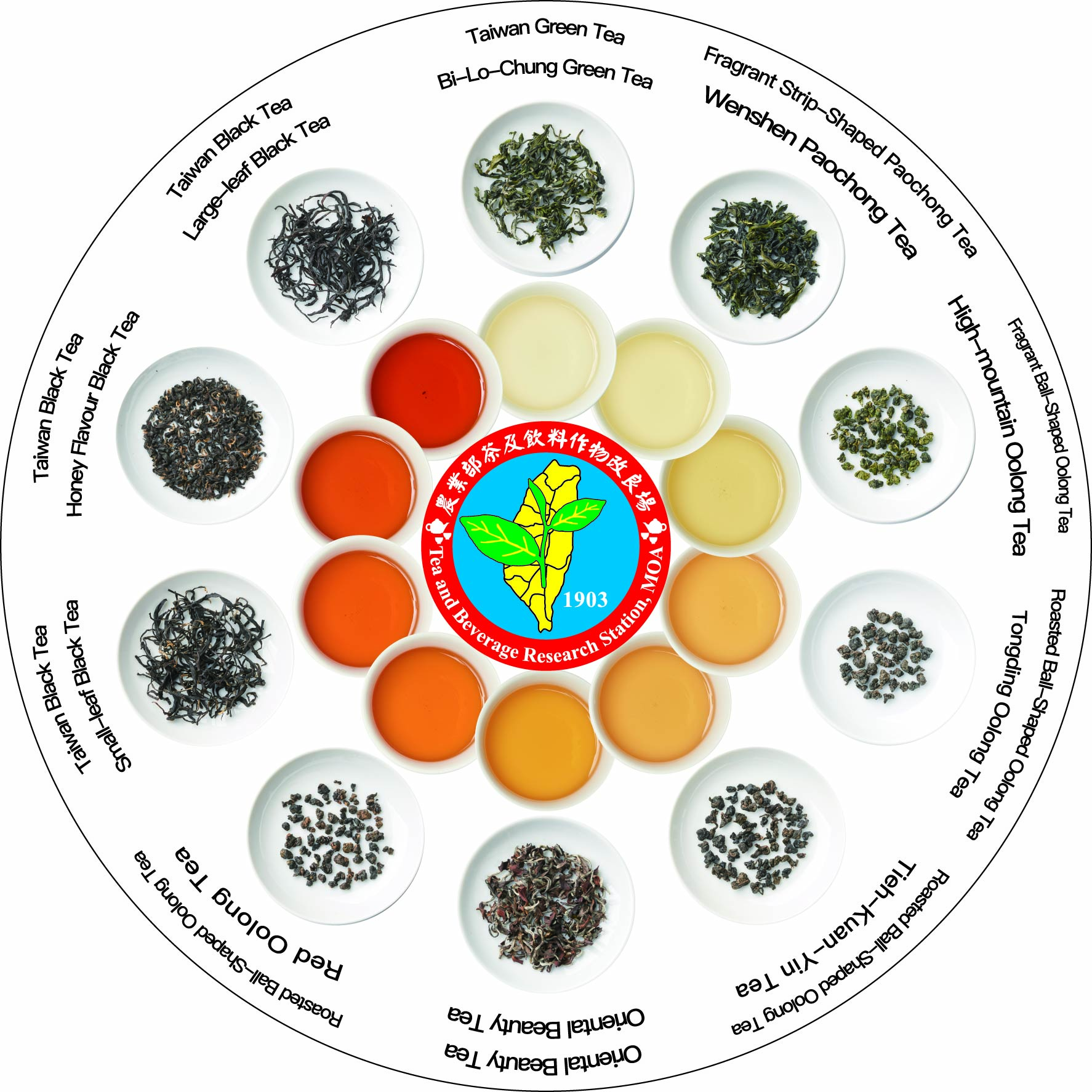 風味輪2.0英文版背面 風味輪2.0英文版背面