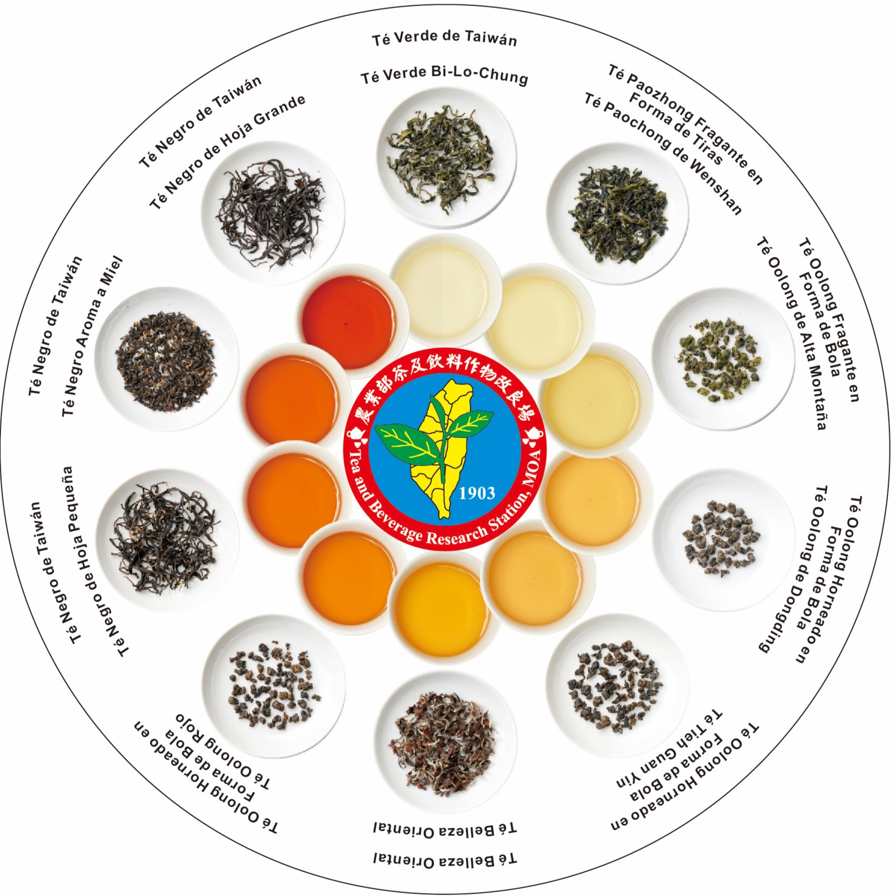 風味輪2.0西班牙文背面