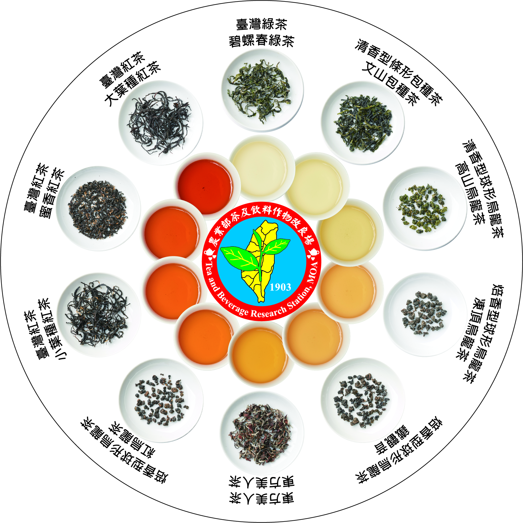 風味輪2.0中文背面