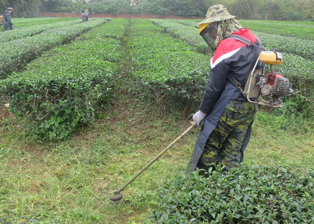 茶園除草機械