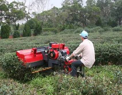 小型履帶式茶樹中剪枝機