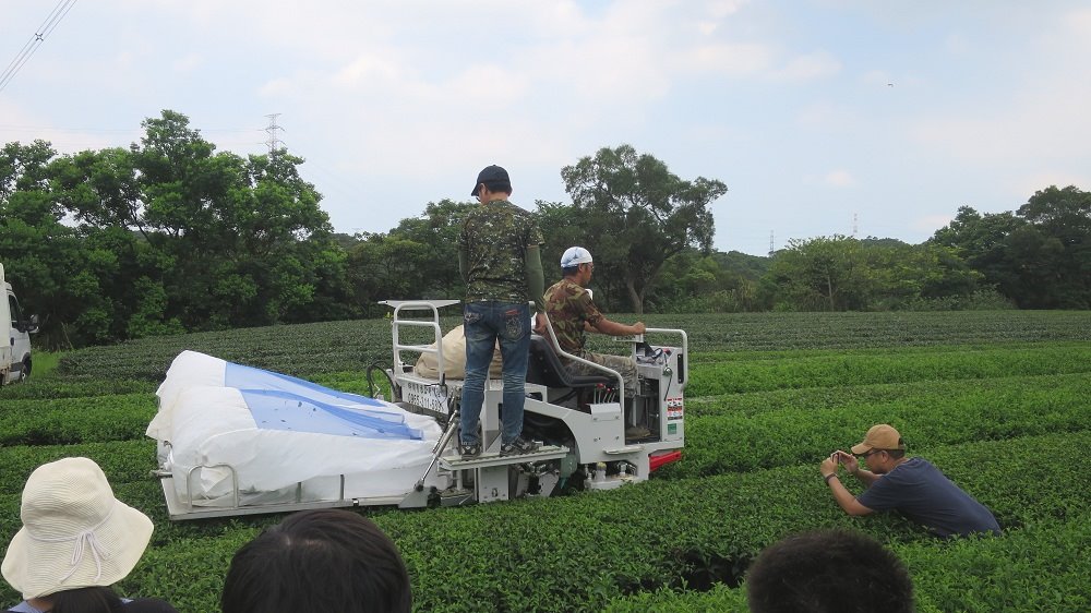 乘坐式採茶機之現場操作  