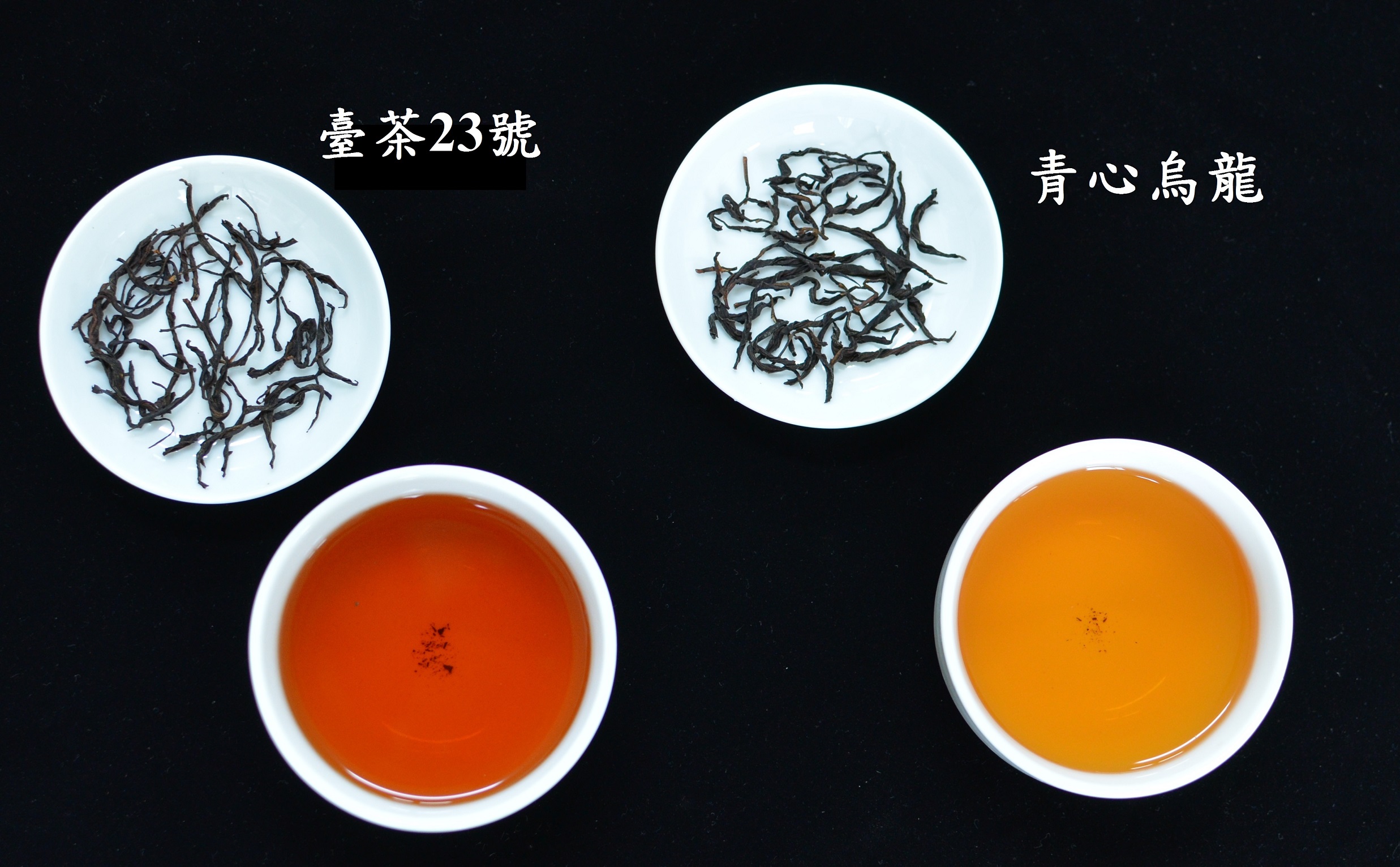 圖3.臺茶23號成茶與茶湯