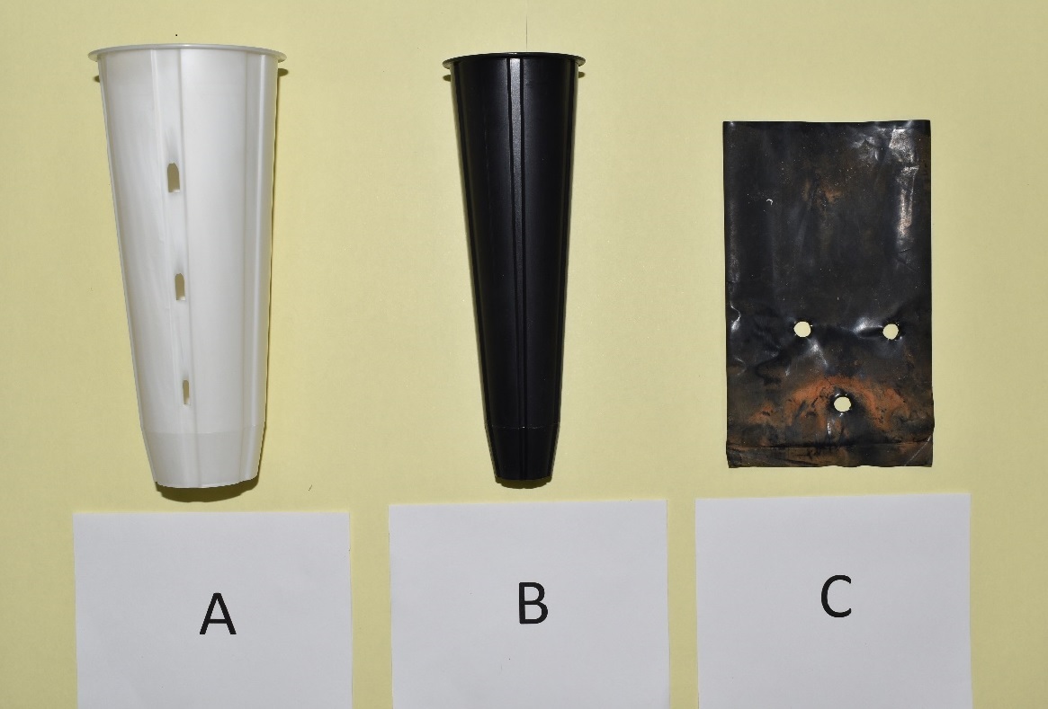 圖1. 新型可分解育苗杯（A）、塑膠育苗杯（B）、塑膠育苗袋（C）