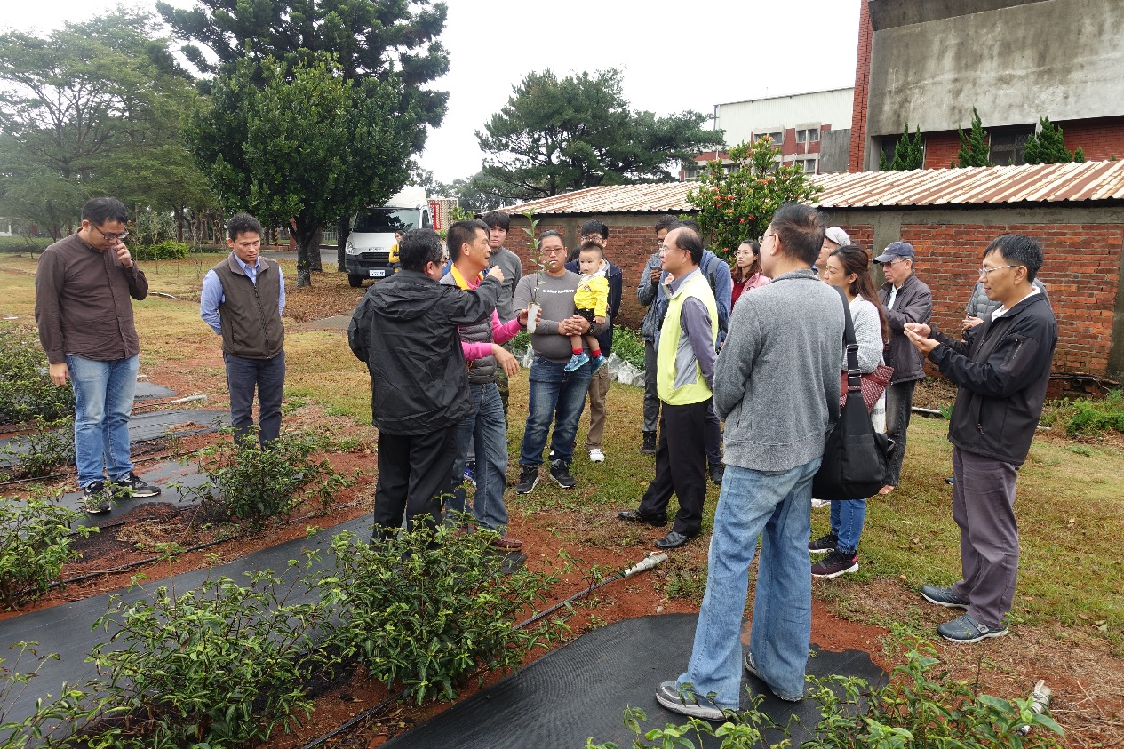 圖5. 茶苗業者對新型可分解育苗杯感到濃厚興趣