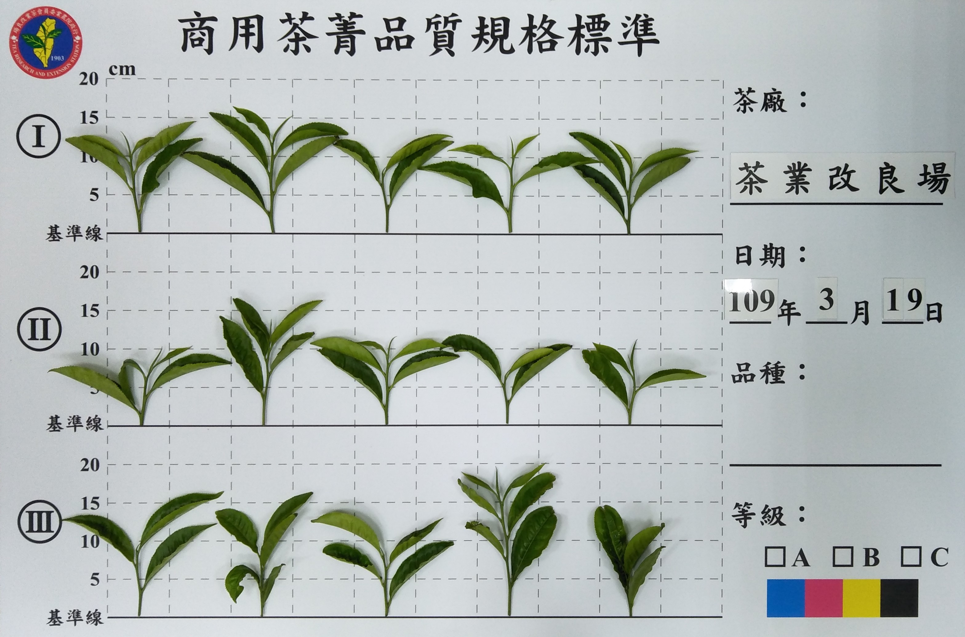 茶改場設計之商用茶菁品質規格標準化圖板(範例)
