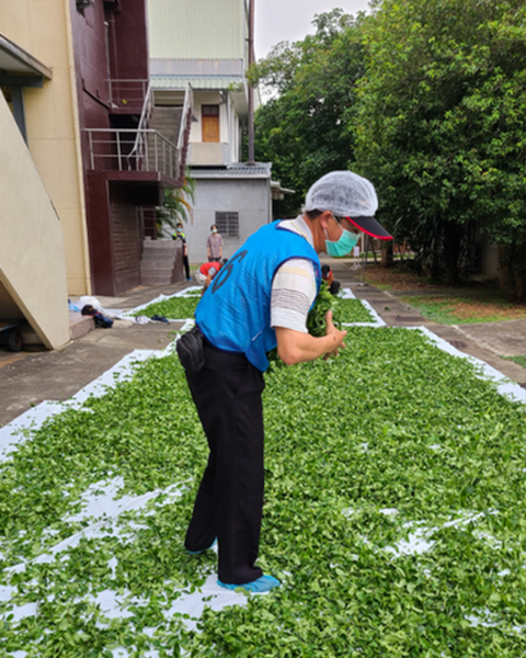 圖三、製茶流程穿著帽套及鞋套，強調衛生安全製茶概念