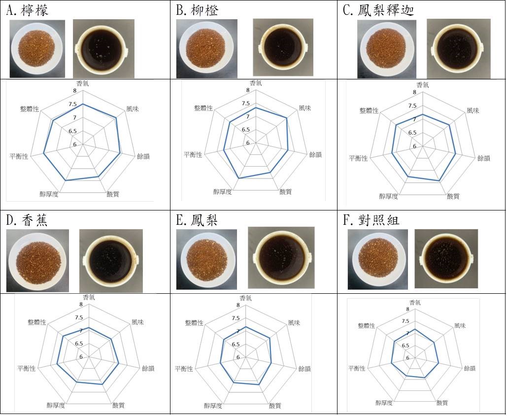 圖三、臺東咖啡結合水果醱酵的成品風味表現