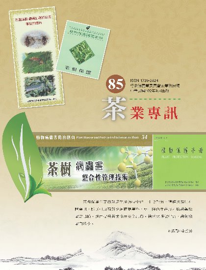 專訊第85期