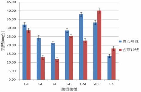 青心烏龍及臺茶19號接種菌根菌春季茶菁茶胺酸含量 青心烏龍及臺茶19號接種菌根菌春季茶菁茶胺酸含量