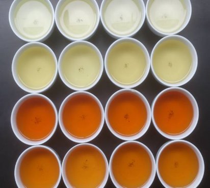 不同薰香特色茶類