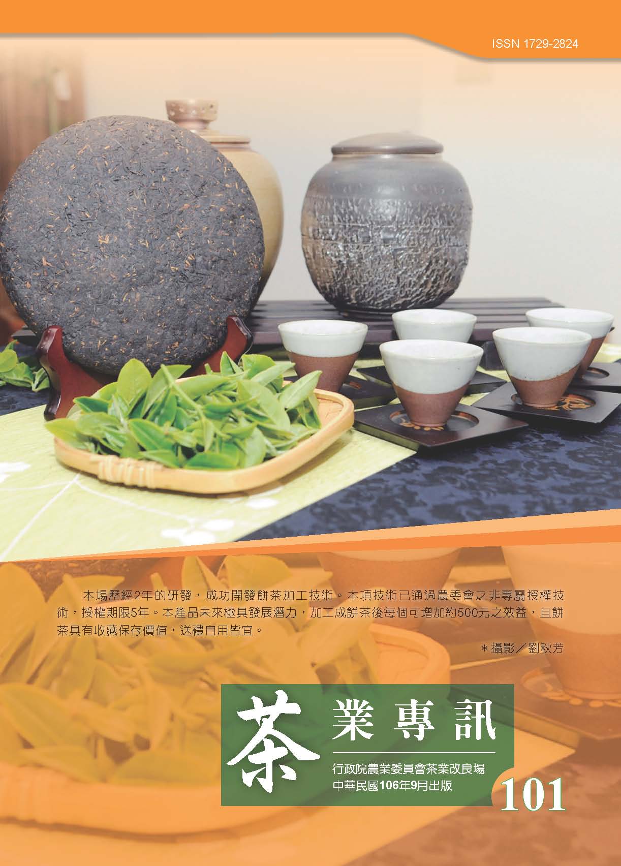 專訊第101期