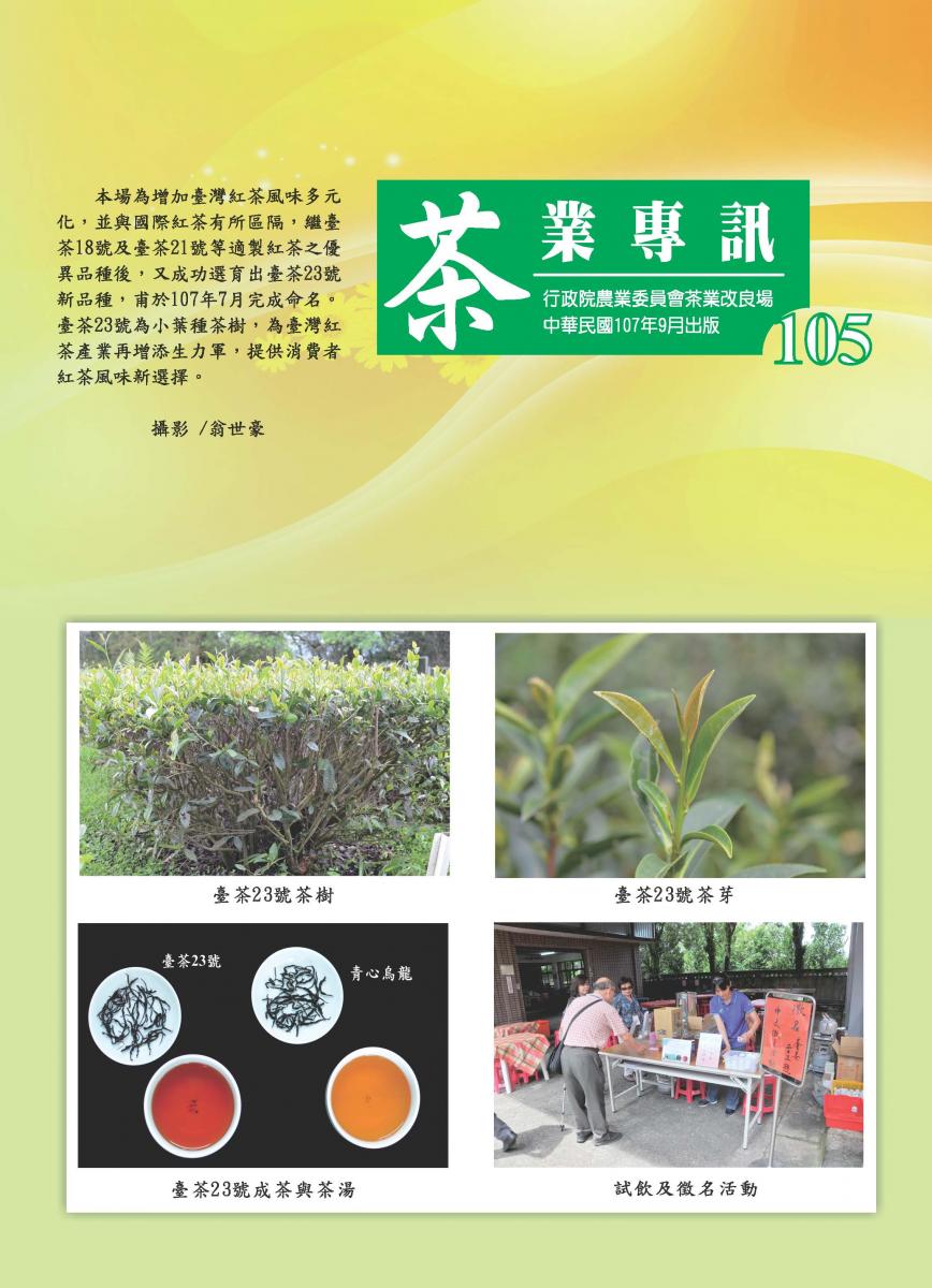 專訊第105期