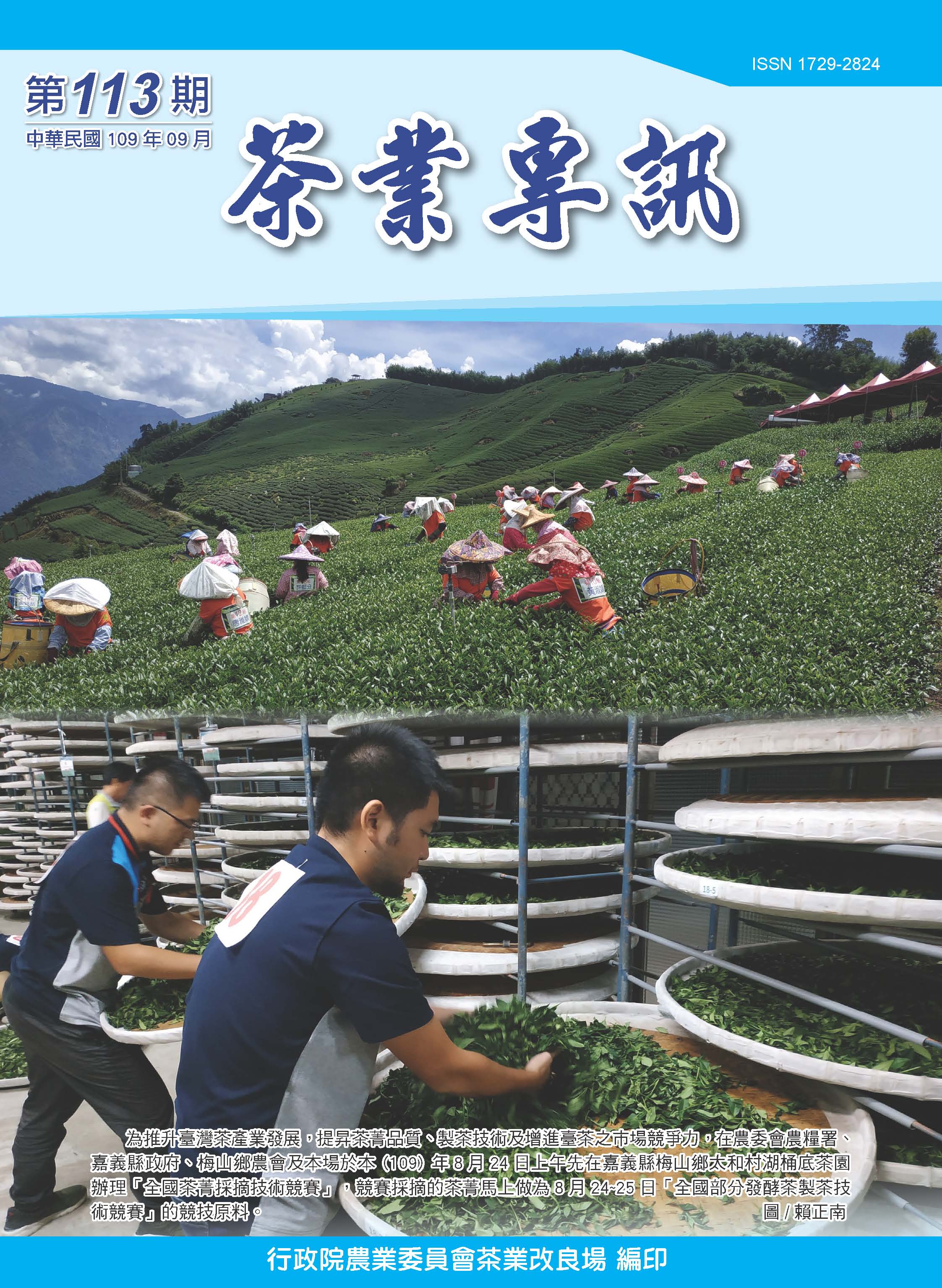 專訊第113期