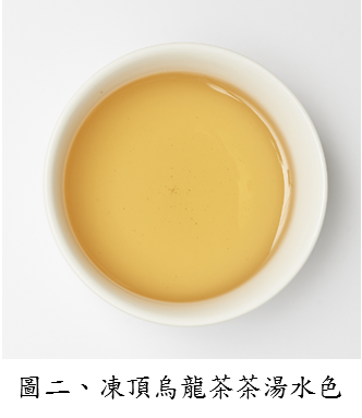圖二、凍頂烏龍茶茶湯水色