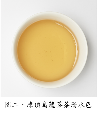 圖二、凍頂烏龍茶茶湯水色 圖二、凍頂烏龍茶茶湯水色