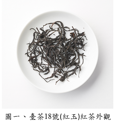 圖一、臺茶18號(紅玉)紅茶外觀