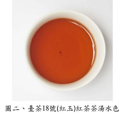 圖二、臺茶18號(紅玉)紅茶茶湯水色