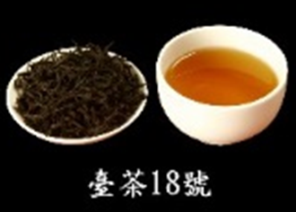 臺茶18號茶湯水色