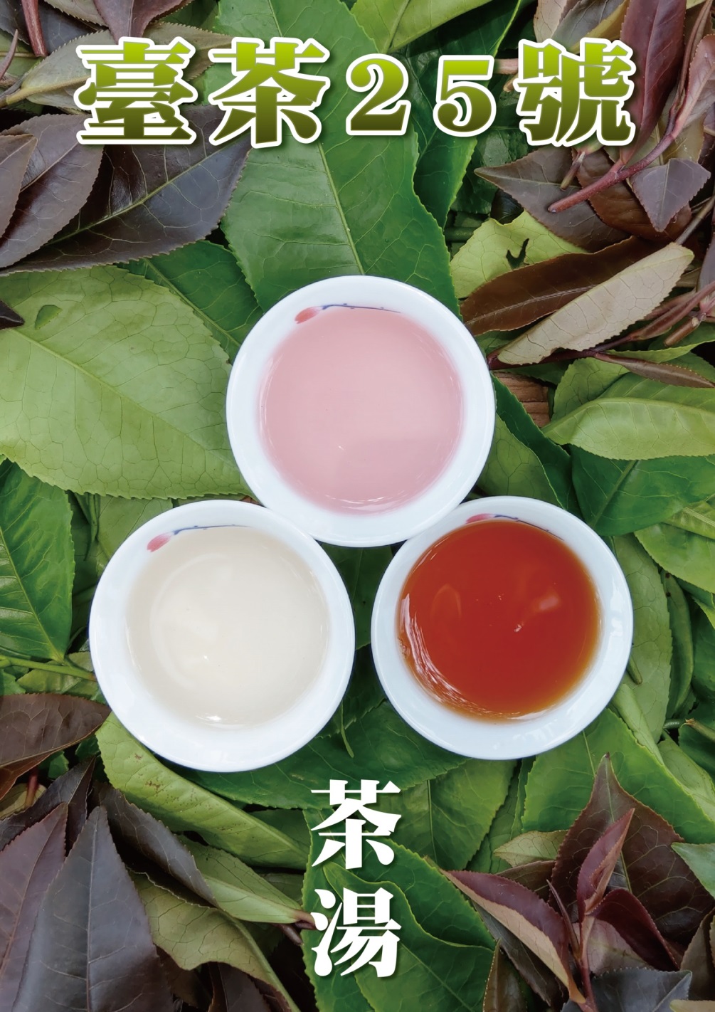 圖二、臺茶25號色彩繽紛的茶湯(左下：綠茶、中上：綠茶+檸檬、右下：紅茶)