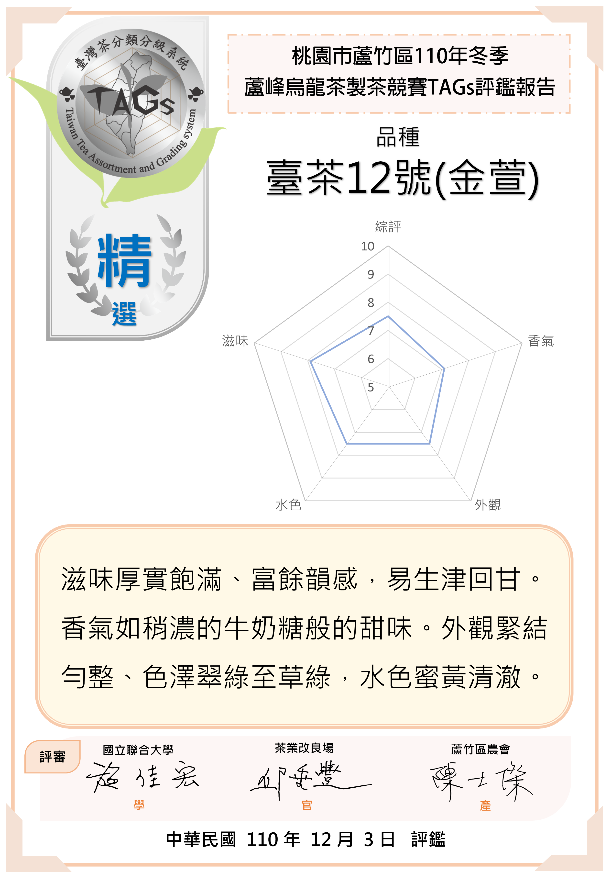 評鑑報告書-精選