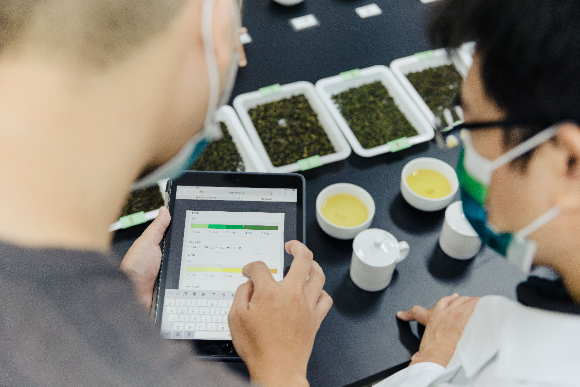 圖六、使用臺灣茶TAGs風味平台線上評分系統進行風味描述